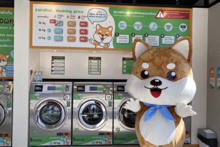 บราวนี่ (Browny 24Hr Wash & Dry) 900,000 บาท